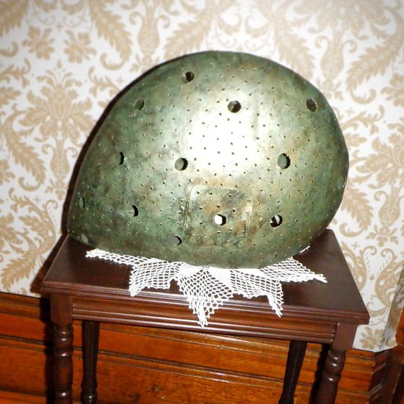 Unusual, Unique LARGE Sea Type SNAIL ~ Decorative Use Only - Picture 2 of 2